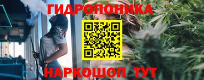 МДПВ Лесосибирск