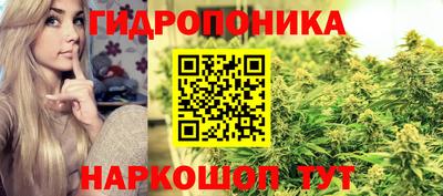 МДПВ Лесосибирск
