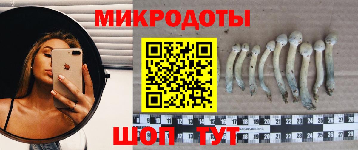 Псилоцибиновые грибы мицелий Еманжелинск